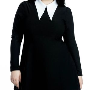 NWT Cathedral Skater Dress